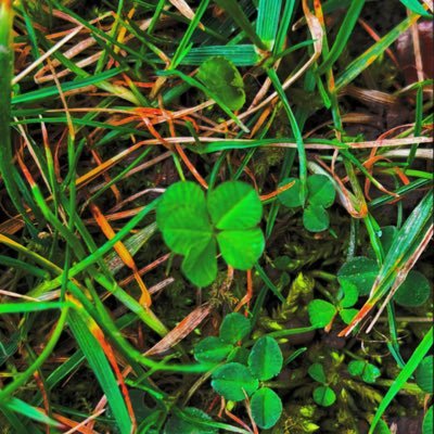 Sunshinesteph74's profile picture. No matter how much the wind howls the mountain cannot bow to it