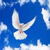أبو الليل (@zwmslh3fwgceaiq) Twitter profile photo أبو الليل (@zwmslh3fwgceaiq) Twitter profile photo