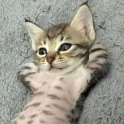20 🇷🇺 | cs player |
Putrick —
потом когда я буду на вершине ты инвайтнешь меня но ты мне уже нахуй не нужен будешь