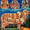 VarshaThacker's profile picture. architect🔯interior designer🔯town planner🔯 landscape designer🏡
art research 🔯artist🎨art collector📚
loves flowers &nature 🌳horse riding 🐴loves cooking🍝