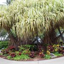 Jane Masters - @jmasters54 - Twitter