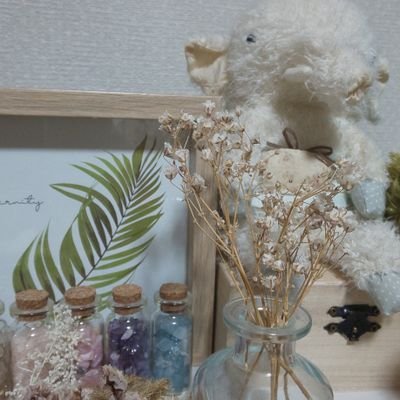 ゆみかもしれないさんのプロフィール画像