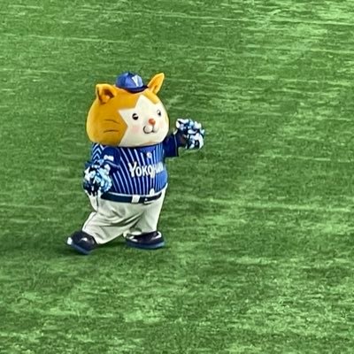 【生息地】⚾横浜スタジアム⚽横浜国際総合競技場🏉