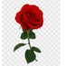 Love land (@thakkudu1972) Twitter profile photo Love land (@thakkudu1972) Twitter profile photo