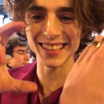 daily content of timothée chalamet | turn on notifications !!