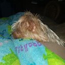 Letha Barnes - @BarnesLeth96244 - Twitter