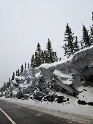 manitolla's profile picture. 