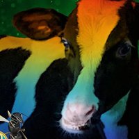 OneFishTaco (Ø,G) (@onefishtaco) 's Twitter Profile