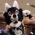 Nightmare (@cajunnightmare) Twitter profile photo Nightmare (@cajunnightmare) Twitter profile photo