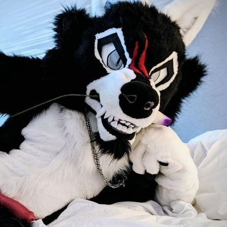 28 | Male | pan-demi | good boy puppo here to take over the world. PM friendly! 

AD of: @CajunNightmare