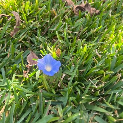 Leave_i9's profile picture. 