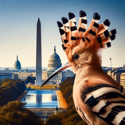 Hudhudd2024's profile picture. ☀️