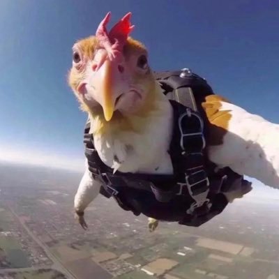 risk_rate's profile picture. 