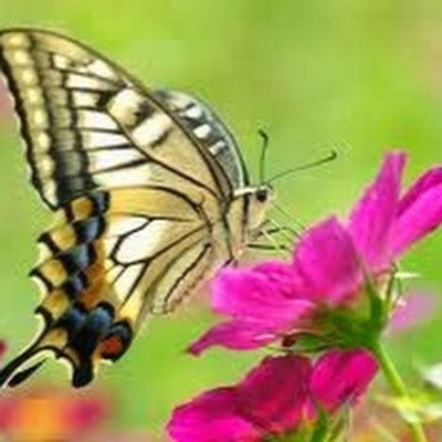 AddlspS46307's profile picture. 