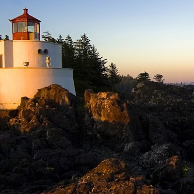 bomble_yuv57917's profile picture. 