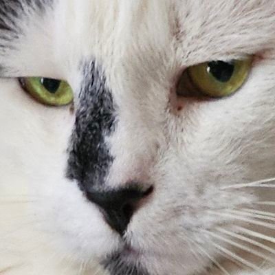 Marrlainaa's profile picture. Twitter is dead so is this account