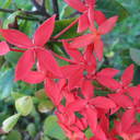 Brianna Clancy - @BriannaClancy - Twitter