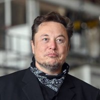 Elon’s Face Pubes(@Elons_Hairplugs) 's Twitter Profile Photo