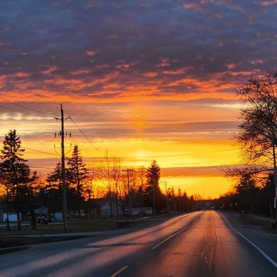 cryptojess_'s profile picture. 