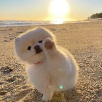 Kiki (@hfdhfdfhhfdhf) 's Twitter Profile