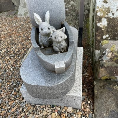 💙ちっち❤️ (@upupup_06) / Posts / X