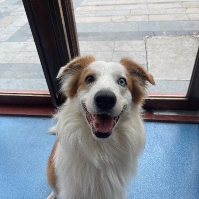 choiwenhao's profile picture. Binance Register：https://t.co/0tF7VM0Ync