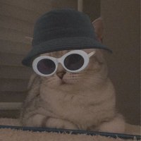 Anonymous (@anonymousook) 's Twitter Profile