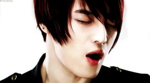 noxwuopgp's profile picture. kpop we are from donesia,let's ask.