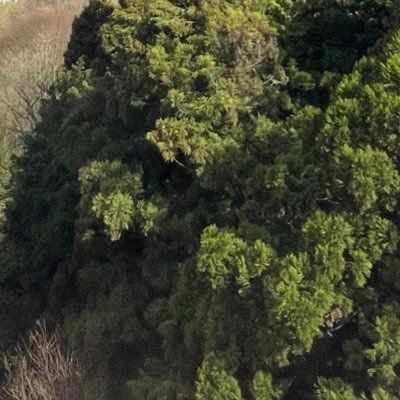 3100_yu's profile picture. 東京190