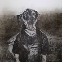 Crypto lad (@ibrahimkhan8884) 's Twitter Profile