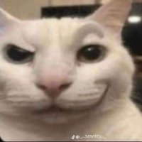 Joseph (@la3llz) 's Twitter Profile Photo Joseph (@la3llz) 's Twitter Profile Photo