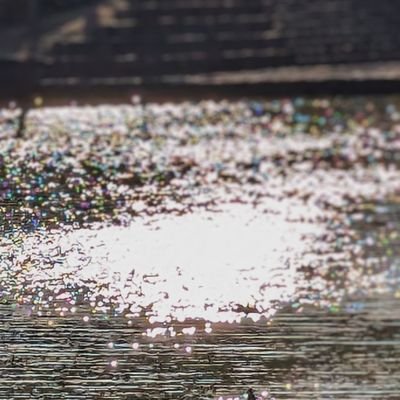 ✢ごん✢さんのプロフィール画像