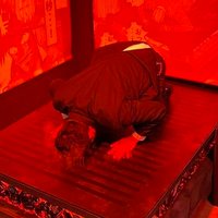 カメ鉄@鰻野郎 (@tokyo_seventh) 's Twitter Profile Photo