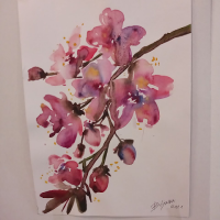 dragan (@dragan452826779) 's Twitter Profile