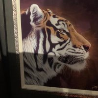 Zah’Ron (zeek) Washburn (@zeekwashburn2) 's Twitter Profile