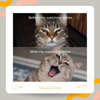 🐱กะเพราหมูกรอบผัดแซลมอน🐶 (@jungko2724) 's Twitter Profile