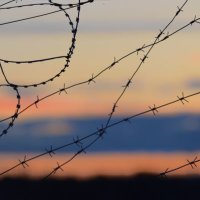 Murphy (@9231_u) 's Twitter Profile Photo