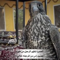 خيال العلطا (@bindreimeh) Twitter profile photo