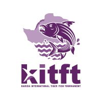 KITFT(@KITFTZW) 's Twitter Profile Photo