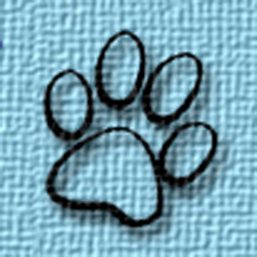 TommiBlue's profile picture. Food, photography and the adventures of a brown-eyed girl and her brown-eyed dog.