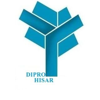 dipro_hisar Profile Picture