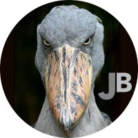 Jeff Bergheim 🦤(@BergheimJeff) 's Twitter Profile Photo