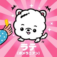 ラテ (@ratte_yama) 's Twitter Profile