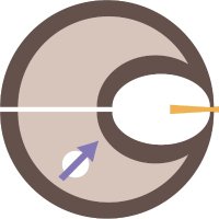 MAESTRI_DN (@maestri_dn) 's Twitter Profile Photo