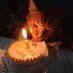 meoooow (@cats_of_tweets) Twitter profile photo meoooow (@cats_of_tweets) Twitter profile photo