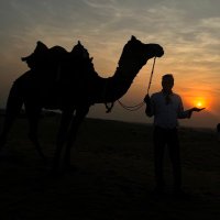 Samay समय 13.0 (@vanvasikalyan) 's Twitter Profile