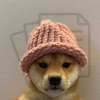 Documenting dogwifhat 📄🐶🧢 (@documentingwif) 's Twitter Profile Photo Documenting dogwifhat 📄🐶🧢 (@documentingwif) 's Twitter Profile Photo