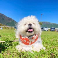 マルレルヒロシ (@markrel13) 's Twitter Profile