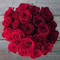 النشمي (@alnasmi3k) 's Twitter Profile