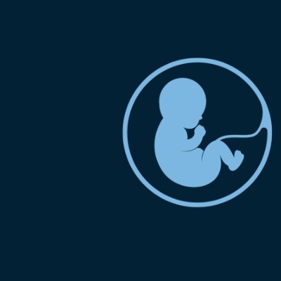 Program Manager for Gynecology Conference 2025 scheduled during October 27-29 at Bali, Indonesia